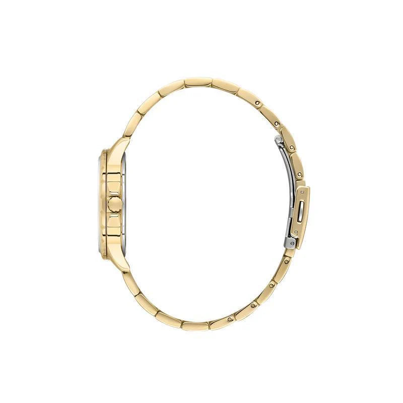 Daniel Klein Premium Champagne Dial Analogue Watch